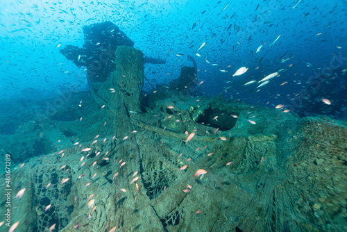 Relitto del piroscafo Bolzaneto ricoperto da numerose reti con il cannone di poppa circondato da una nuvola di pesci