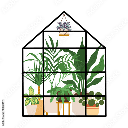 Planting greenhouse. Glass orangery, botanical garden greenhouse, flowers and potted plants home gardening illustration. Plants hanging on ropes, growing greenery in pots