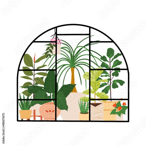 Planting greenhouse. Glass orangery, botanical garden greenhouse, flowers and potted plants home gardening illustration. Plants hanging on ropes, growing greenery in pots