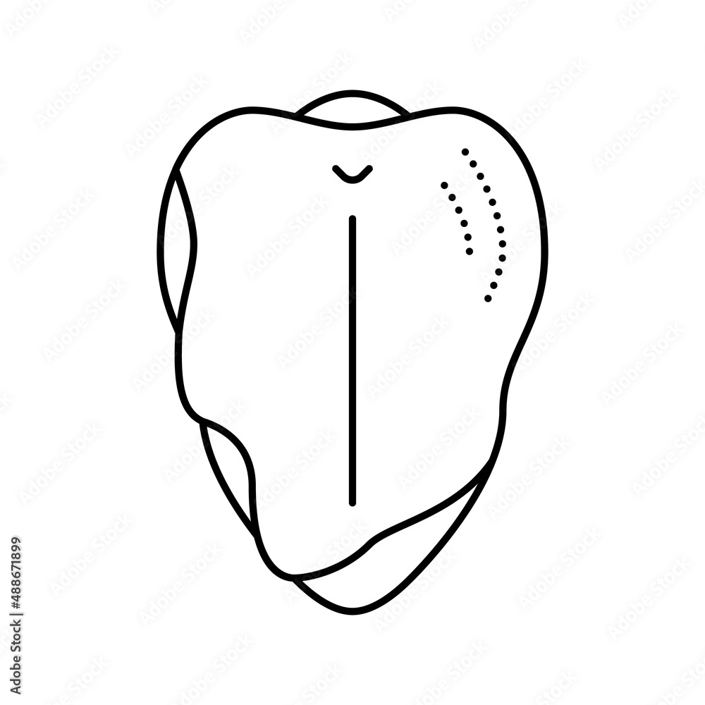 breast with ribs line icon vector illustration breast with ribs line icon vector illustration