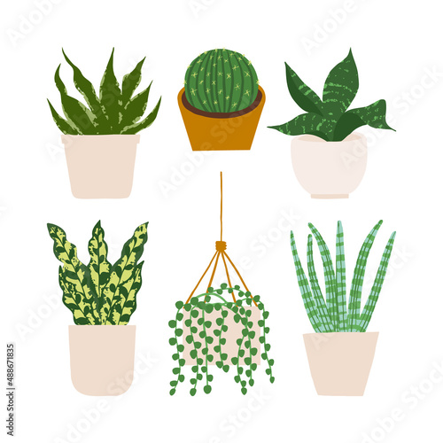 Urban jungle illustration, trendy home decor with plants, cactus, string of pearls, sansevieria, succulent,tropical leaves in stylish planters and pots.