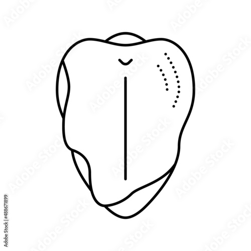 breast with ribs line icon vector illustration