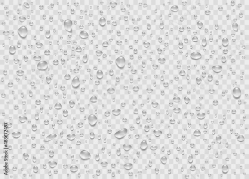 Set water rain drops, pure droplets condensed on transparent background. Realistic vector illustration bubbles on window glass. Design for poster, banner, concept