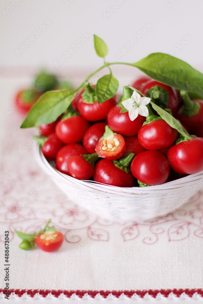Hot pepper round Hot pepper round