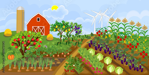Agricultural landscape. Traditional cartoon farm with many agricultural plants, red barn, silo and wind turbine. Harvest time