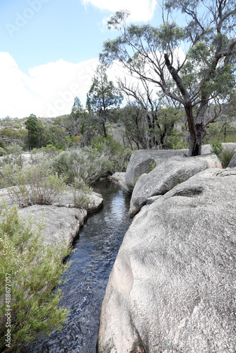 Beautiful Giraween National Park in Southern Downs Queensland, featuring native plants, gum trees and giant granite boulders photo