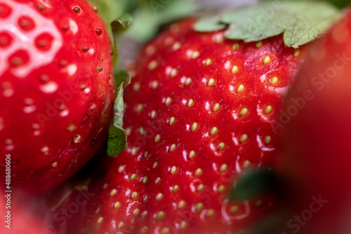 Wallpaper Mural macro close up of fresh red strawberries in a group Torontodigital.ca