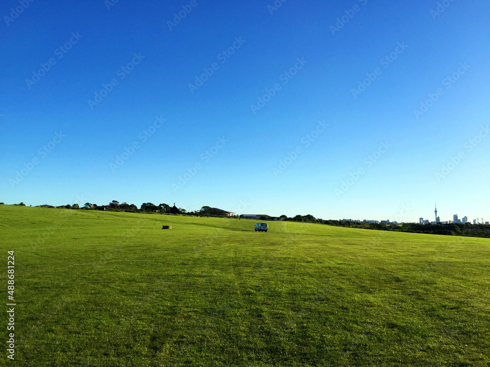 field and blue sky