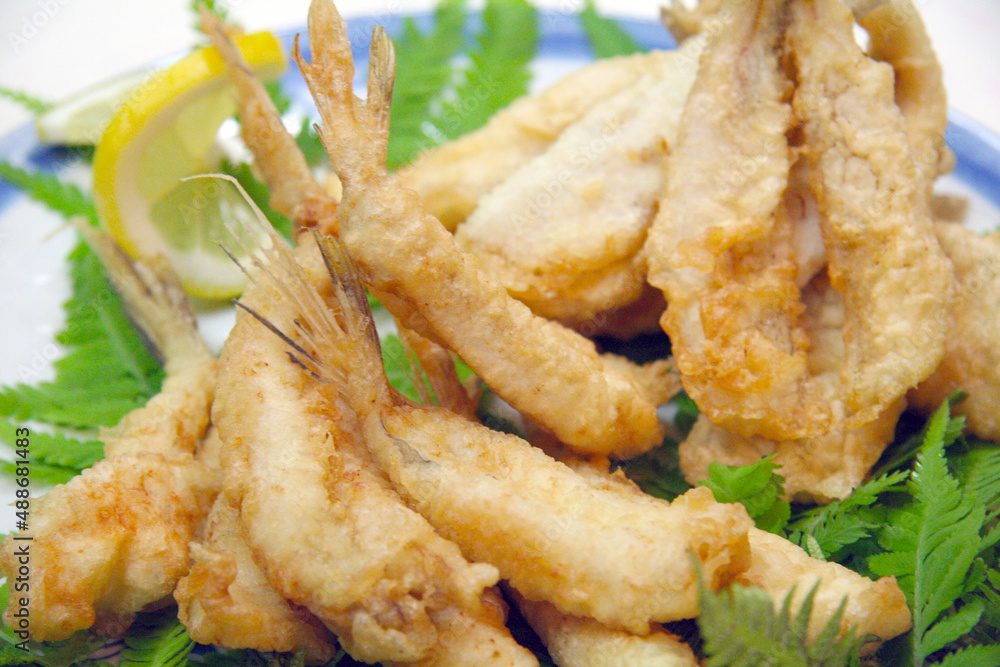 Ready to eat Big-eyed flat-head and Japanese whiting Tempura, surved with lemon dish, close up photography. 揚げたてのシロギスとメゴチの天ぷら。レモンを添えた接写写真。 Ready to eat Big-eyed flat-head and Japanese whiting Tempura, surved with lemon dish, close up photography. 揚げたてのシロギスとメゴチの天ぷら。レモンを添えた接写写真。