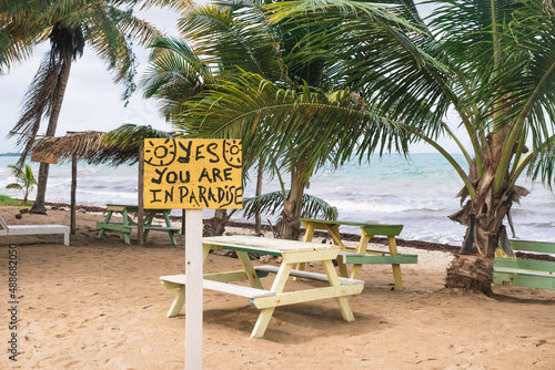 Tropical beach with palm trees and a sign saying 'Yes you are in paradise', Hopkins, Belize