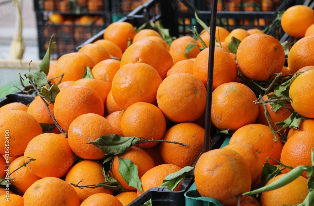 Oranges at the Market