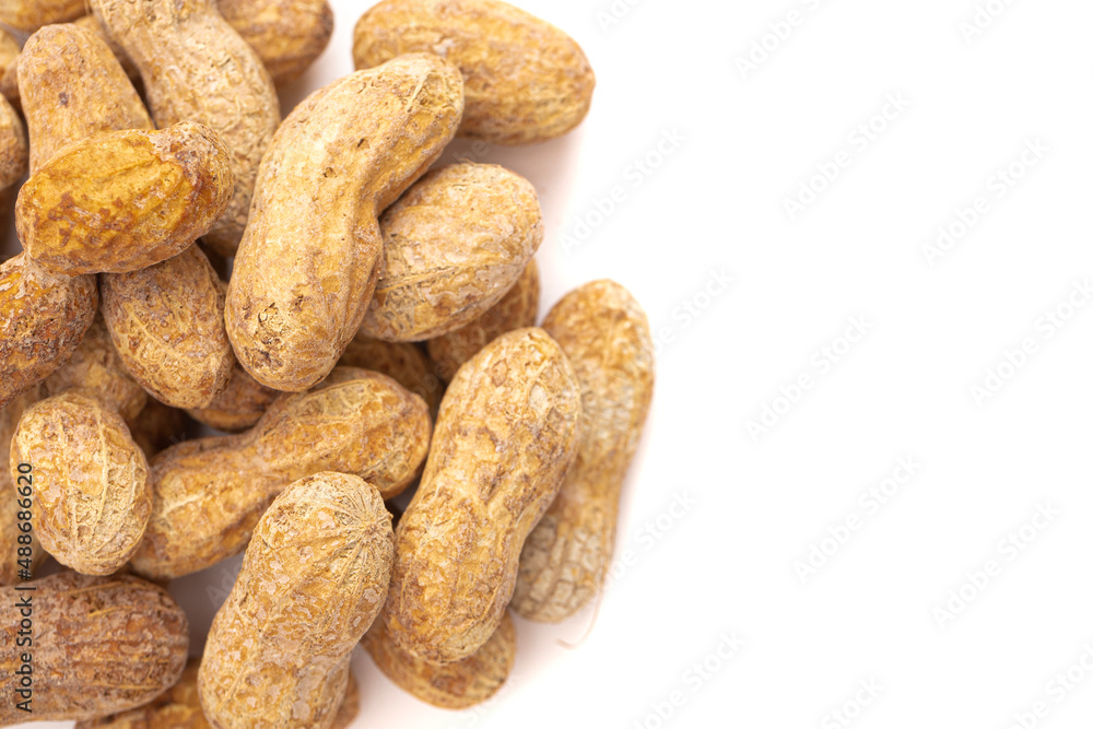 In Shell Peanut on a White Background In Shell Peanut on a White Background