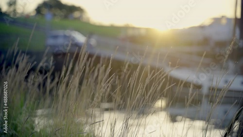 Close-up grass with sunset, harbor and car in the background 4K photo