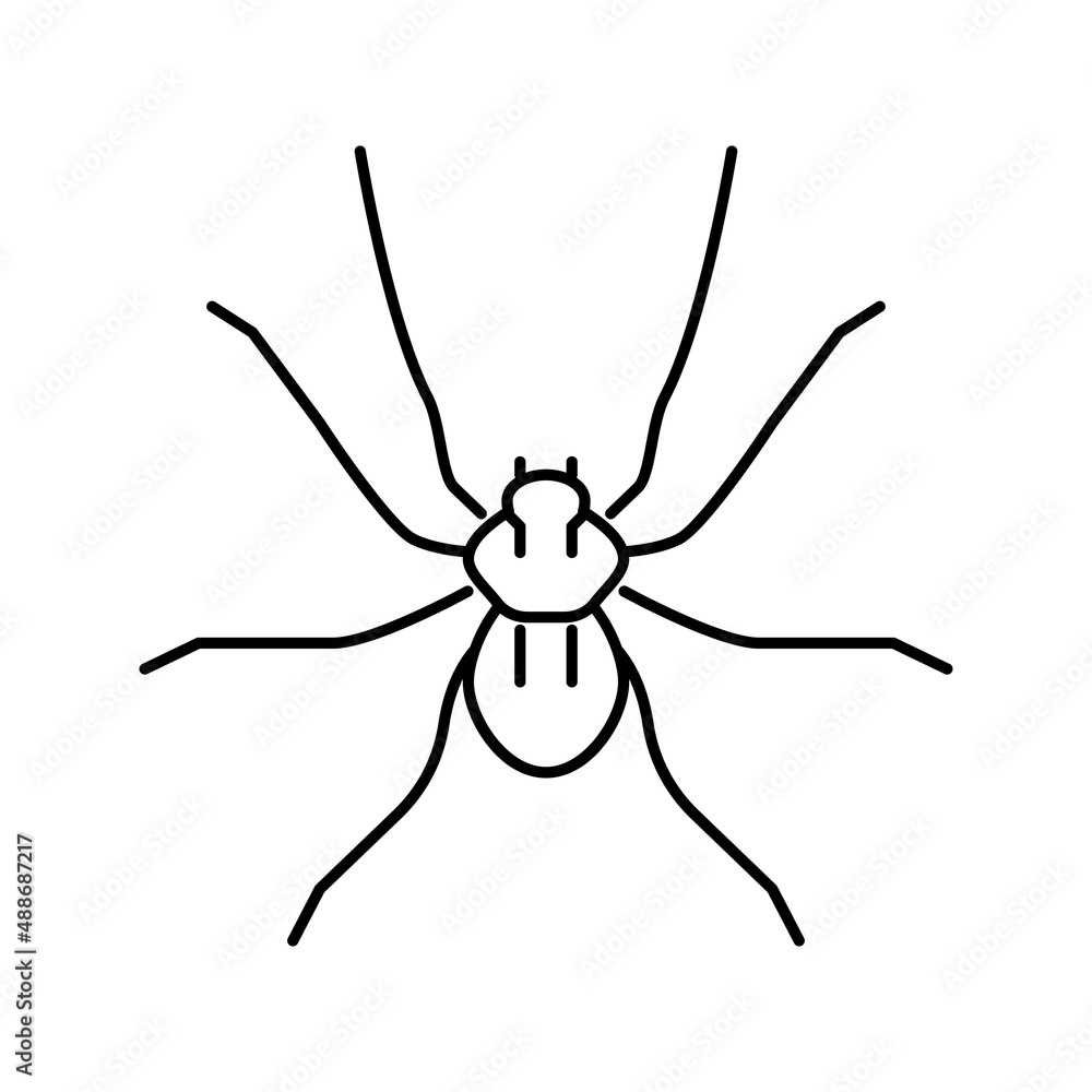 butterfly insect line icon vector illustration butterfly insect line icon vector illustration
