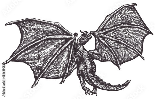 Vintage dragon tattoo concept 001 Free Vector