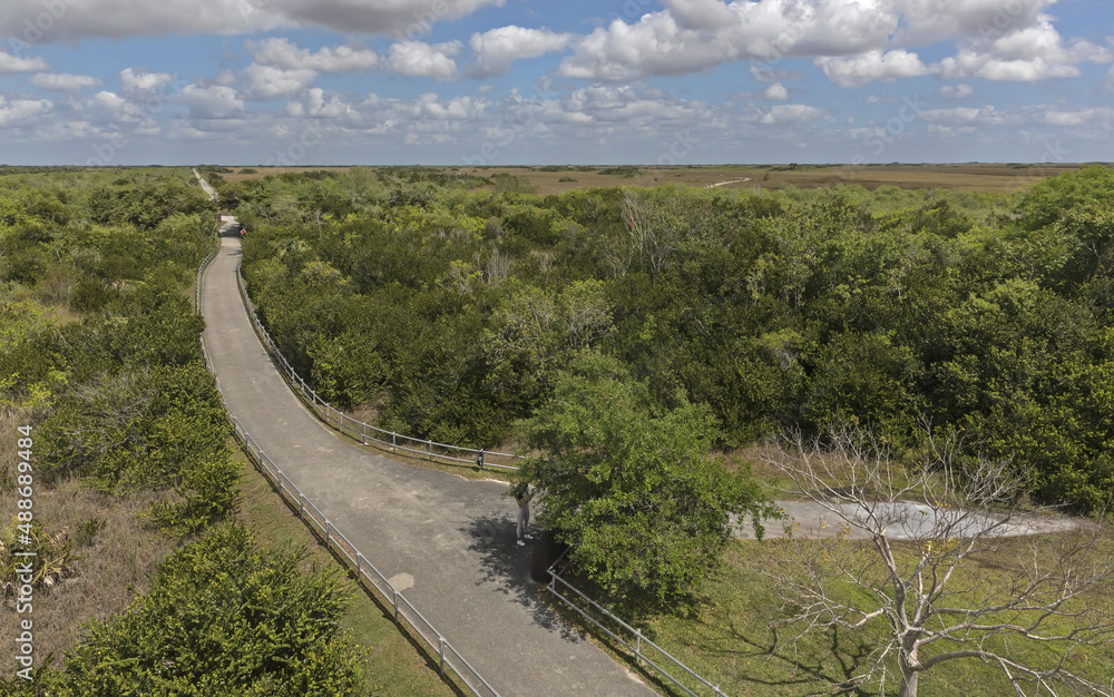 Everglades National Park biking trail goes through the park. Areal view from the observation tower.