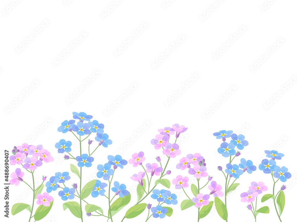 青色とピンクの忘れな草のイラスト 青色とピンクの忘れな草のイラスト