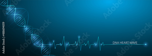 Heart wave dna concept for science biotechnology abstract polygon medical on blue vector background.
