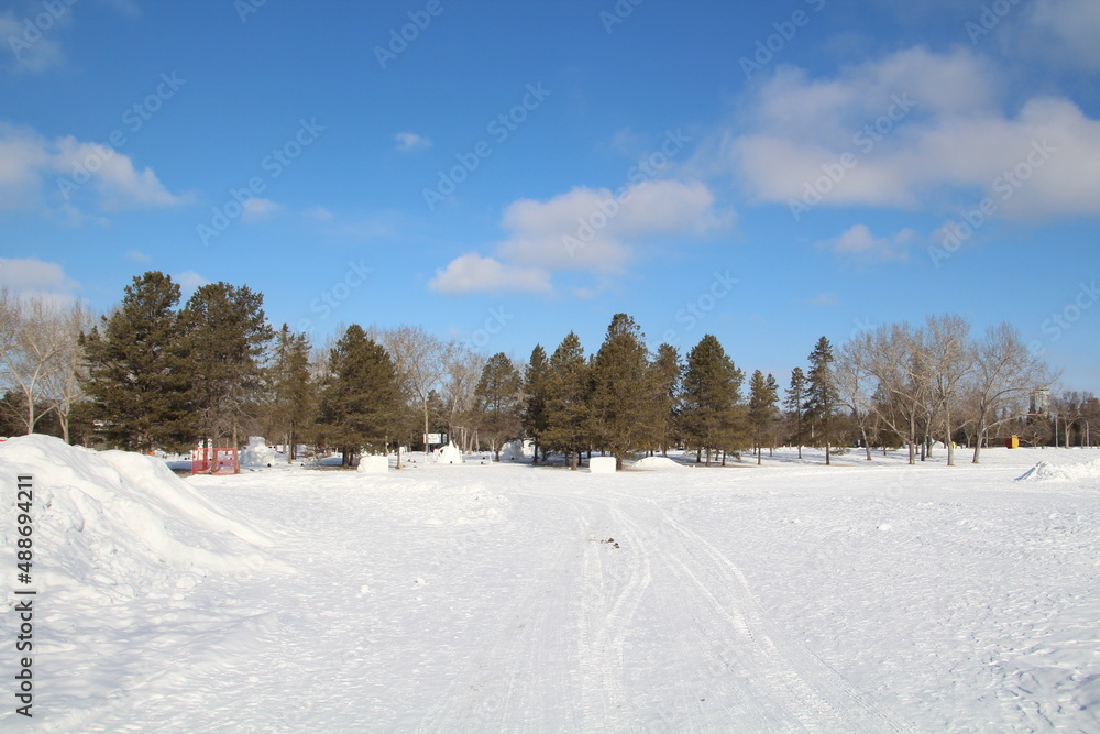 winter landscape with snow, William Hawrelak Park, Edmonton, Alberta