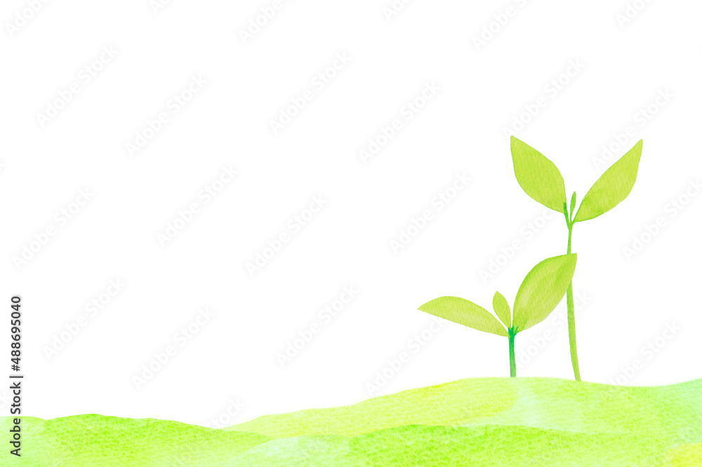 草原と若葉の水彩画 Stock Illustration Adobe Stock