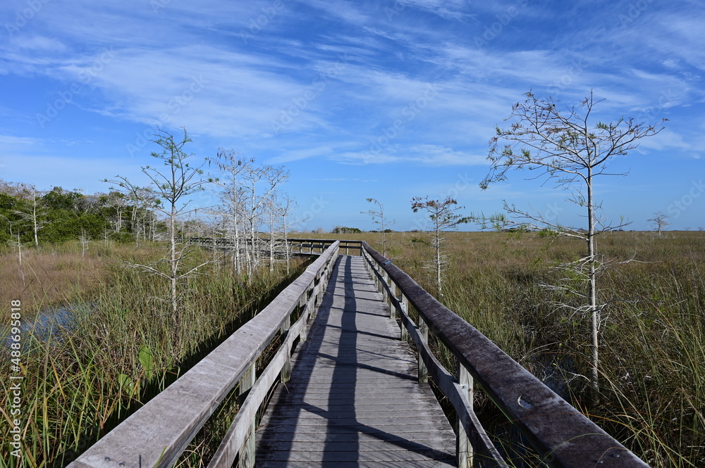 Boardwalk at Pa Hay Okee in Everglades National Park, Florida overlooking expansive sawgrass prairie and wetlands.