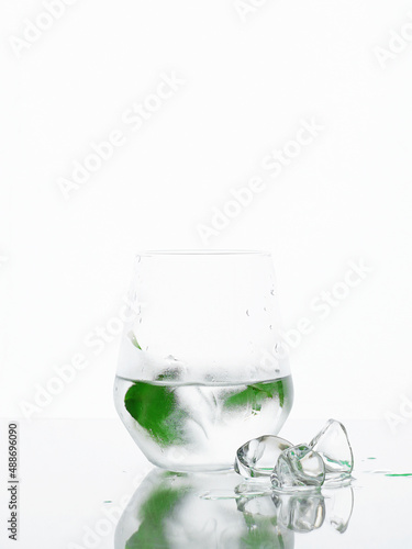 Ice and fresh mint in glass. beautiful still life