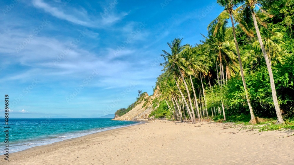 A beautiful undeveloped beach lined with coconut palm trees and a calm blue sea in Occidental Mindoro province in the Philippines.