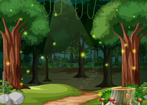 Enchanted forest landscape background