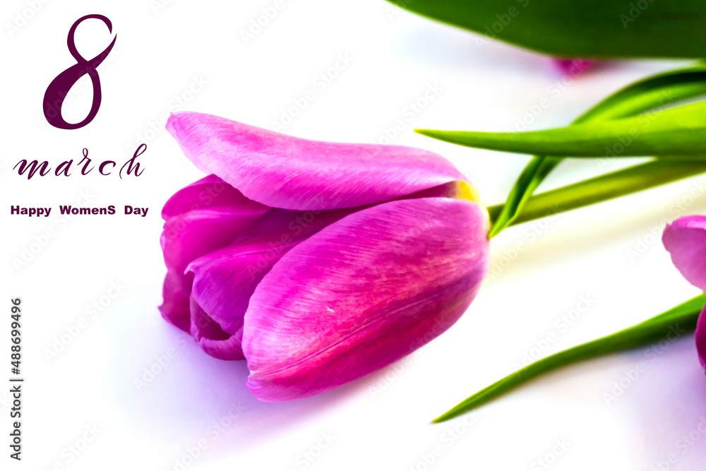 International Women's Day March 8! Flat Lay, banner, greeting card with flowers from March 8. International Women's Day March 8! Flat Lay, banner, greeting card with flowers from March 8.