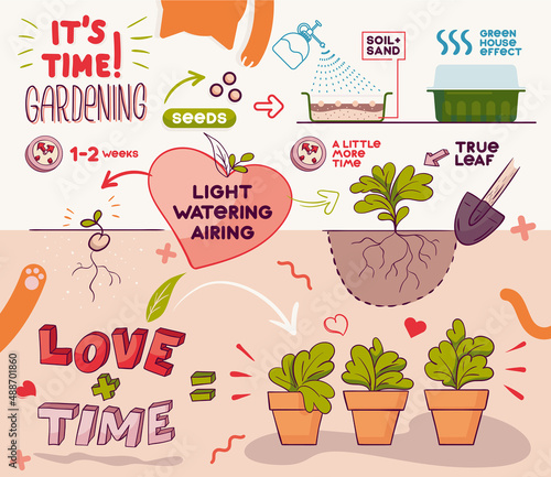 Funny infographic scheme of planting flowers for the garden. Infographics of gardening  how to plant seedlings. Painted seeds  sprouts and plants in pots with inscriptions and drawings.