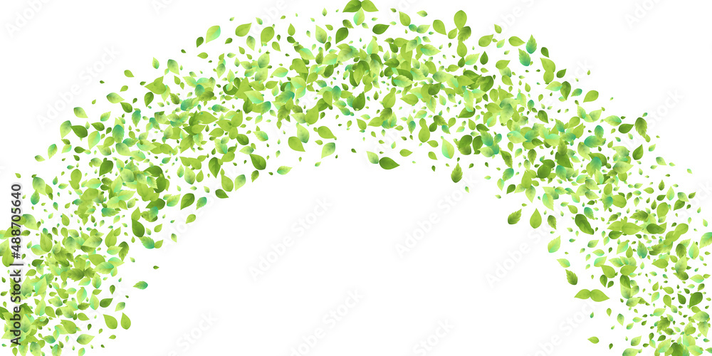 Leaves Green Falling Flying Foliage Leaf Tea Mint Leaves Green Falling Flying Foliage Leaf Tea Mint