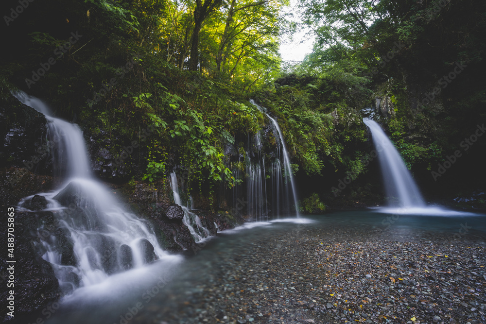 Fototapeta premium 日本の綺麗な水の滝