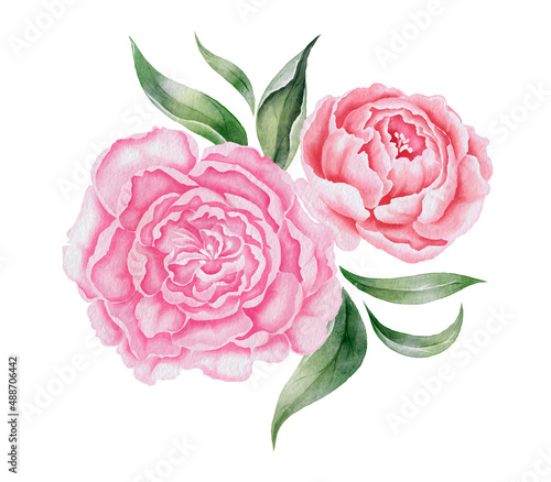 Peonies seamless composition