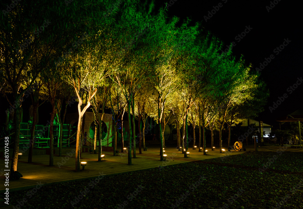 Obraz premium night city park