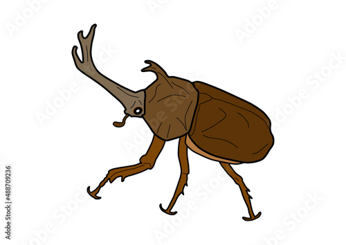 カブトムシ　カブト虫