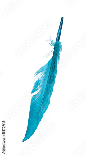 Bright blue bird feather isolated on white background