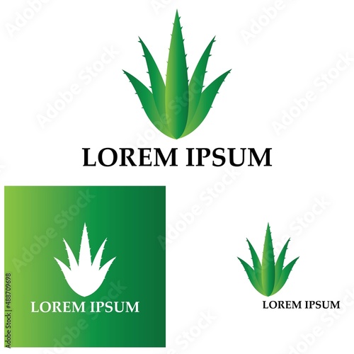 Aloe vera logo vector ilustration template