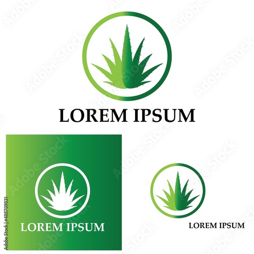 Aloe vera logo vector ilustration template