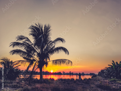 Dramatic  sunset landscape with orange sky  silhouettes of coconut palm trees