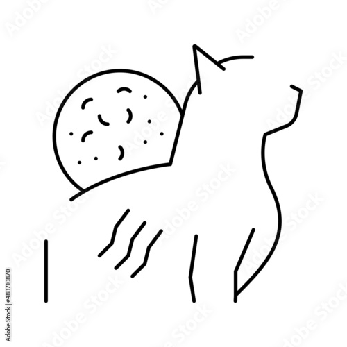 cat scratch disease line icon vector illustration photo