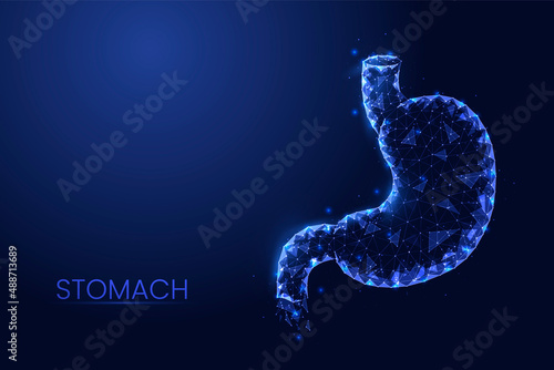 Human stomach background vector. Futuristic abstract Low poly concept of medicine, gastrointestinal disease, innovative treatment.