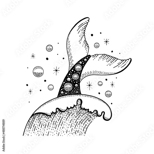 Whale tail vector. Sea wave tattoo. Mermaid, fish, dolphin tail in ocean wave illustration. Marine sketch graphic. Black outline boho design. Vintage art drawing. Magic sea water, space galaxy tattoo