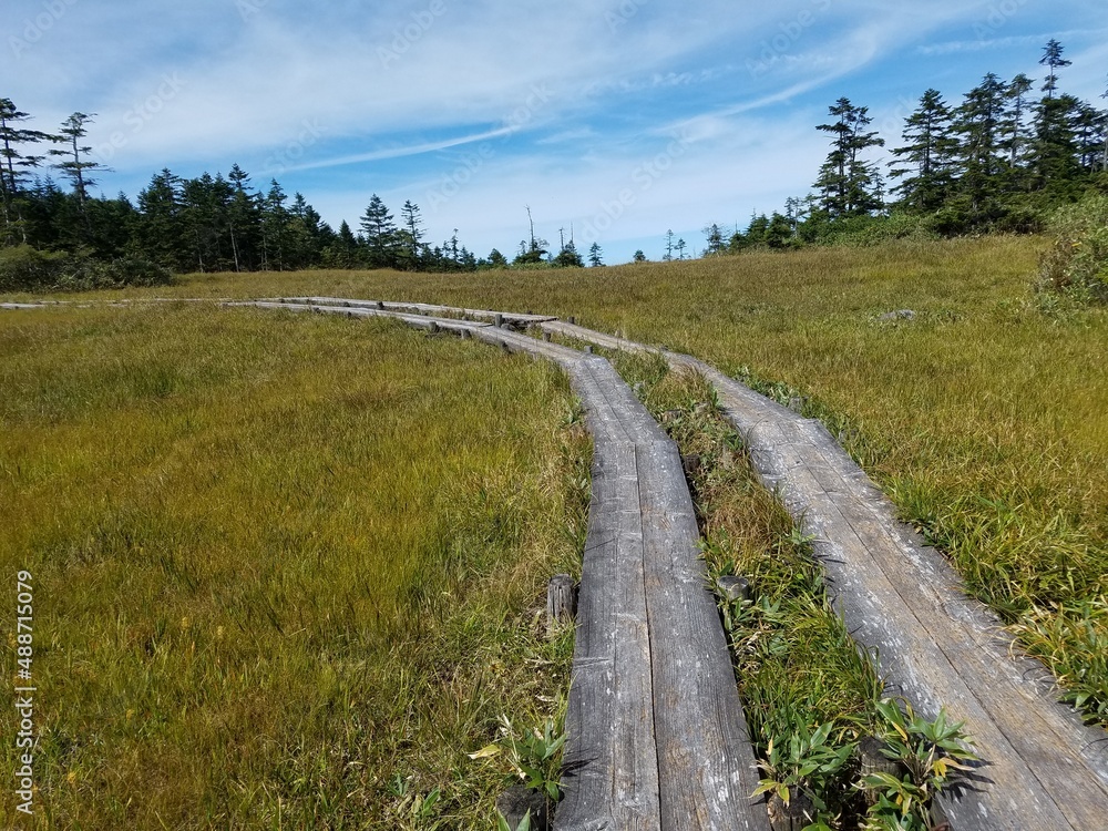 Oze National Park