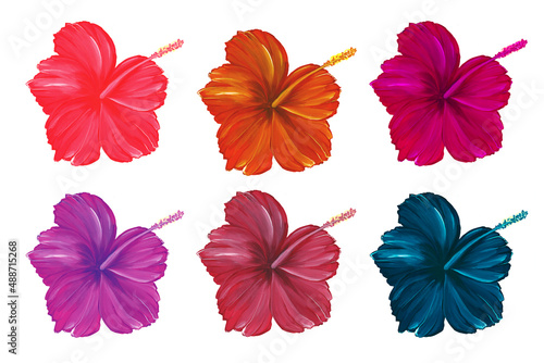 Set of hibiscus flowers in different shades isolated on a white background. Exotic tropical plants. Watercolor illustration. For the design of postcards, banners, packaging.