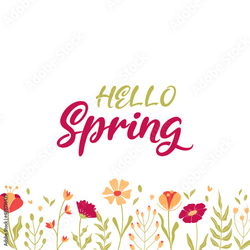 Hello, spring, lettering. Vector banner, spring flowers and plants, leaves. Vector illustration. Pink, yellow and white flowers, pink inscription © Mirandelin