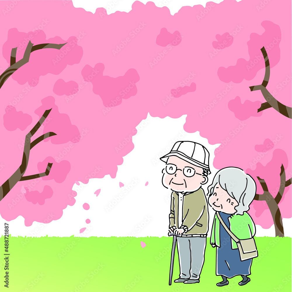 Fototapeta premium 公園で立ち止まり桜を見るおじいさんとおばあさん