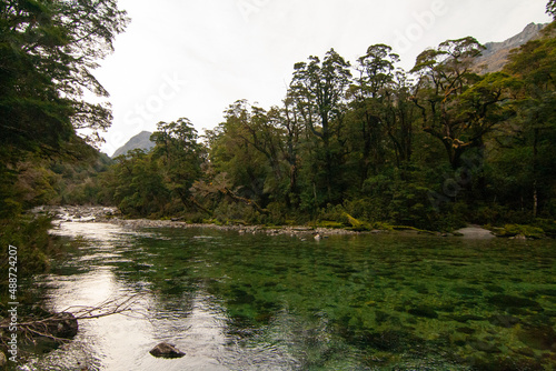 Clinton River New Zealand, Te Anau to Milford Sound, Fiordland National Park photo