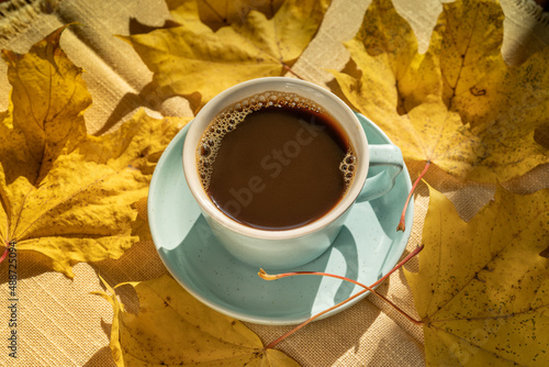 Cup coffee over autumn yellow leaves background .