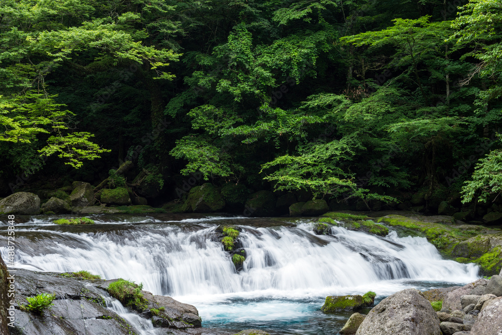 緑の森をバックに菊池川の流れ