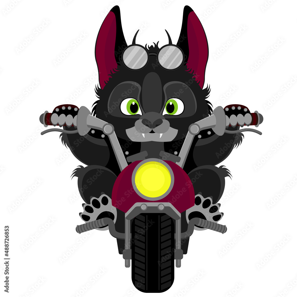 Fototapeta premium A little demonic kitten biker. Pet on a motorcycle vector illustration.